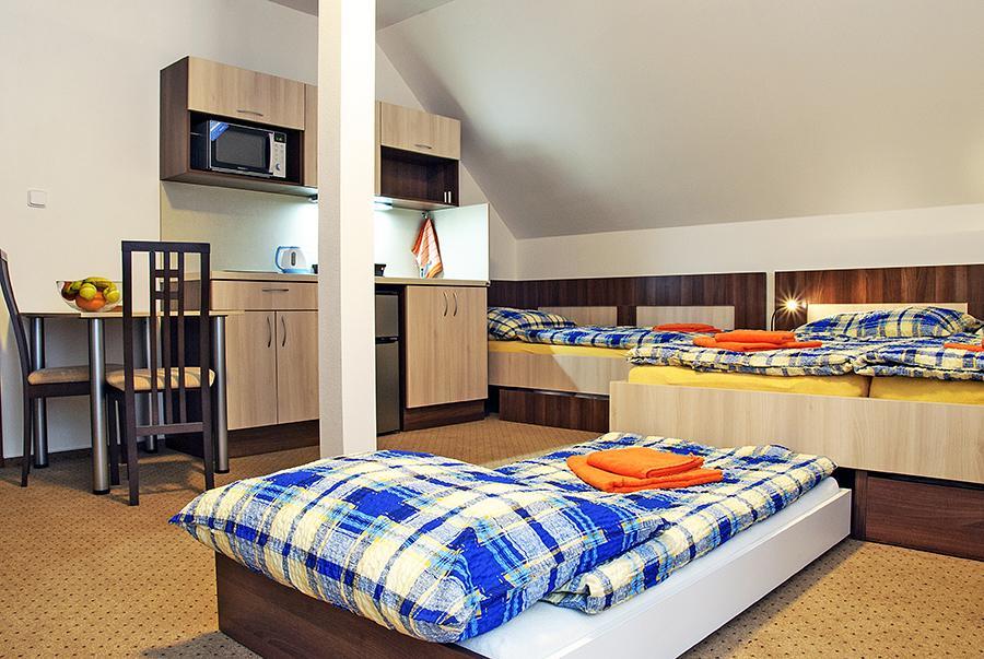Apartmany Rezac Rokytnice nad Jizerou Buitenkant foto