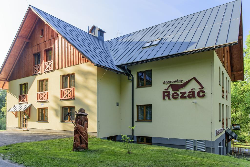 Apartmany Rezac Rokytnice nad Jizerou Buitenkant foto